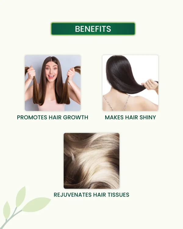 Onion Hair Oil - 100ml For Hair Fall Control with Onion & Almond Oil - Image 3
